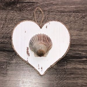 New!  Beachy Seashore Scallop Seashell Wall Art